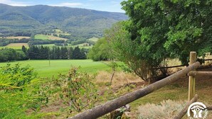 Un paysage rural avec une clôture en bois, des arbres et des collines douces en arrière-plan.