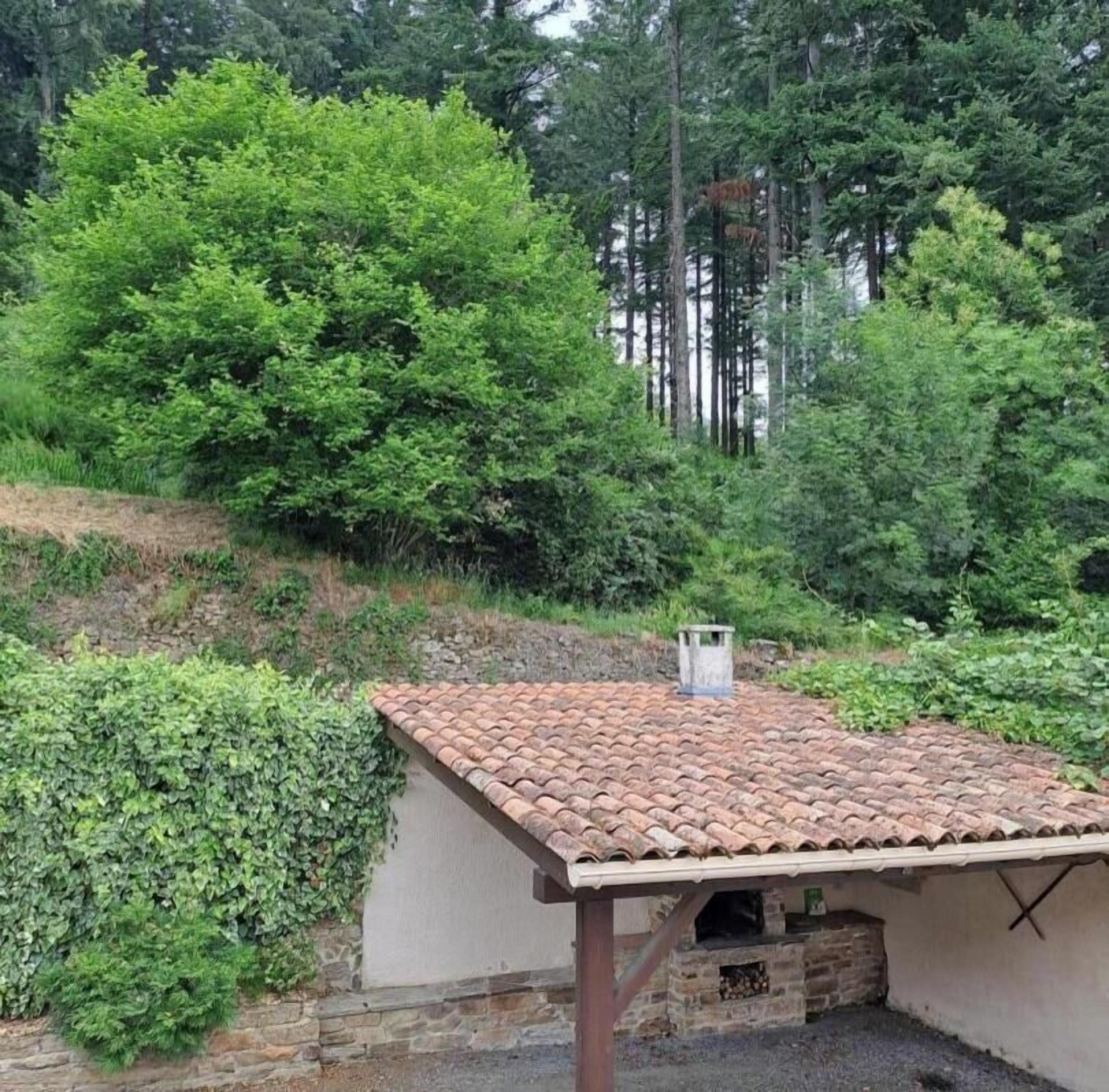 A small building with a tiled roof and a chimney, surrounded by dense green foliage and trees.