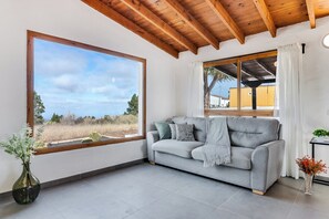 تلفزيون ذكي