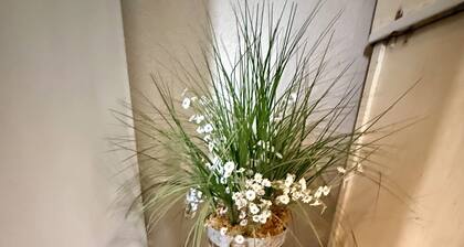 R&R cabin is a cozy 2-bedroom house in Mammoth Spring with a Spring River view!