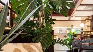 A cozy seating area with a sofa, a round table, and a large potted plant.