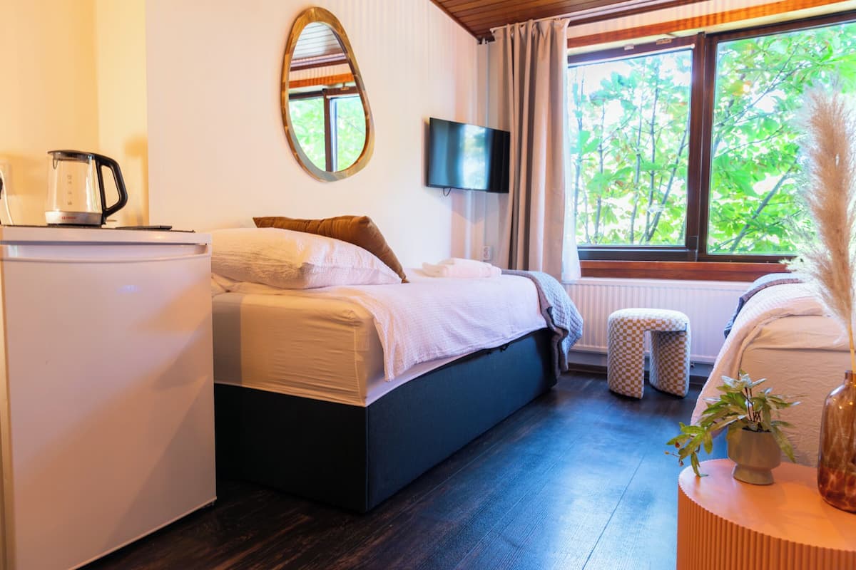 Une chambre avec un lit, une télévision, une fenêtre donnant sur des arbres, une machine à café et une petite table avec une plante.