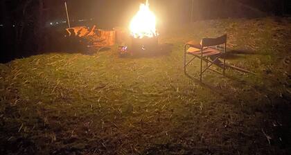 Charming cabin on 31 acres, pet friendly near Jacksonville