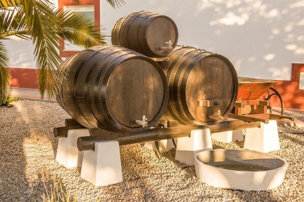 المنطقة المحيطة بالمنشأة