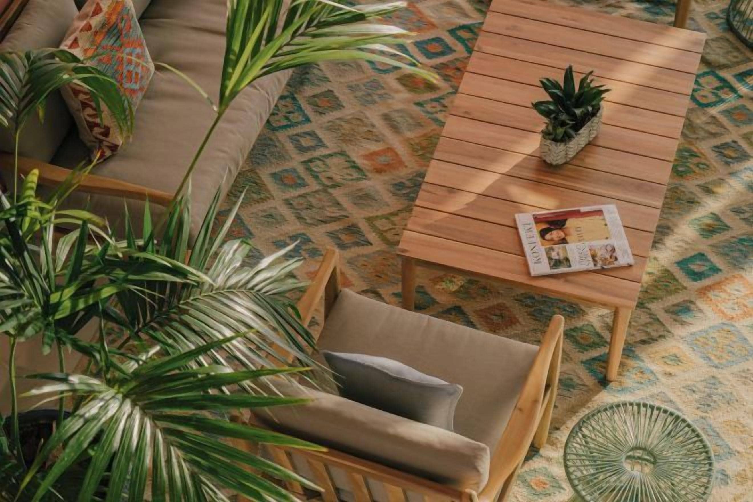 A room with a sofa, a wooden coffee table with a magazine, a potted plant, and a patterned rug.