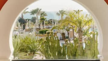 Vista desde la propiedad