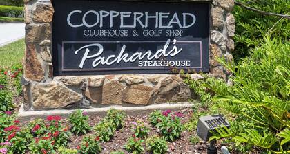 Copperheads 14th Hole Tee Box View