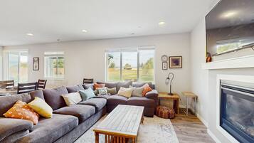 Televisión, chimenea y libros