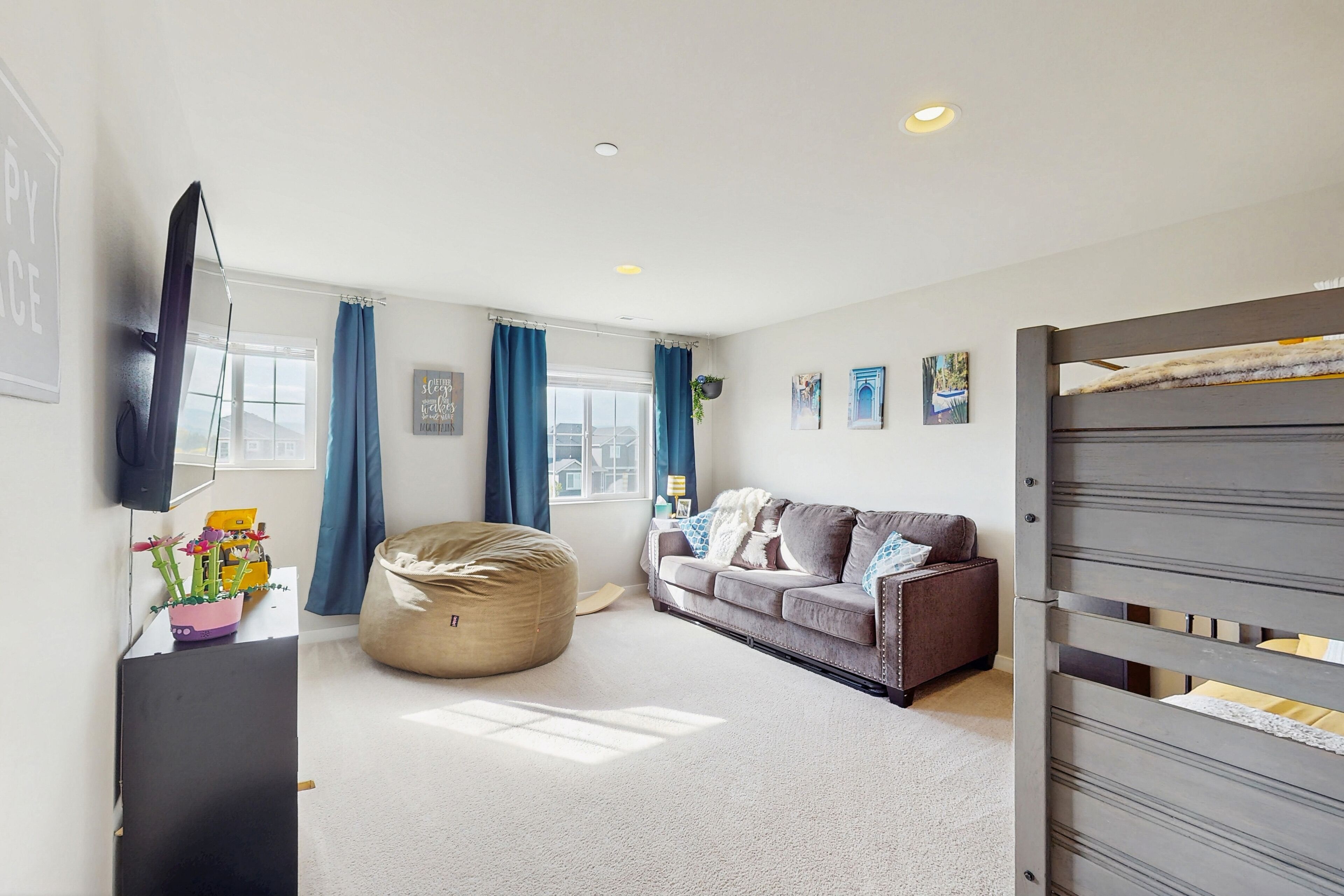 TV, fireplace, books