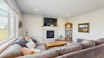 Televisión, chimenea, libros