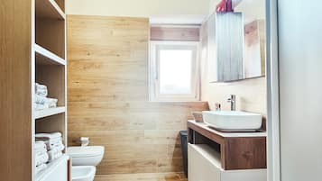 Shower, hair dryer, bidet, towels