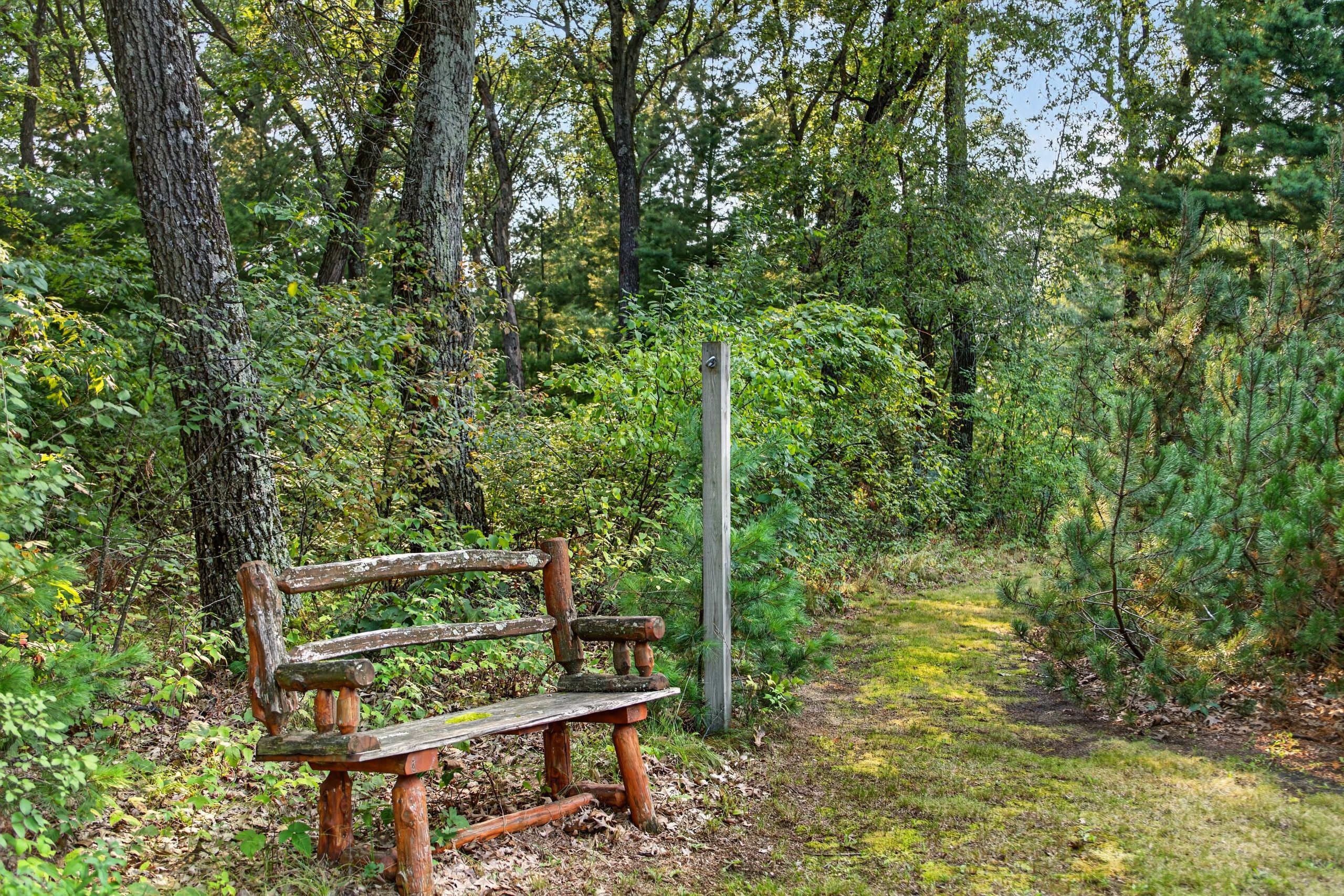 Un banco de madera en un área boscosa con un sendero que se interna.