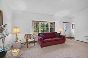 Unclassified image, 4 of 43, button
