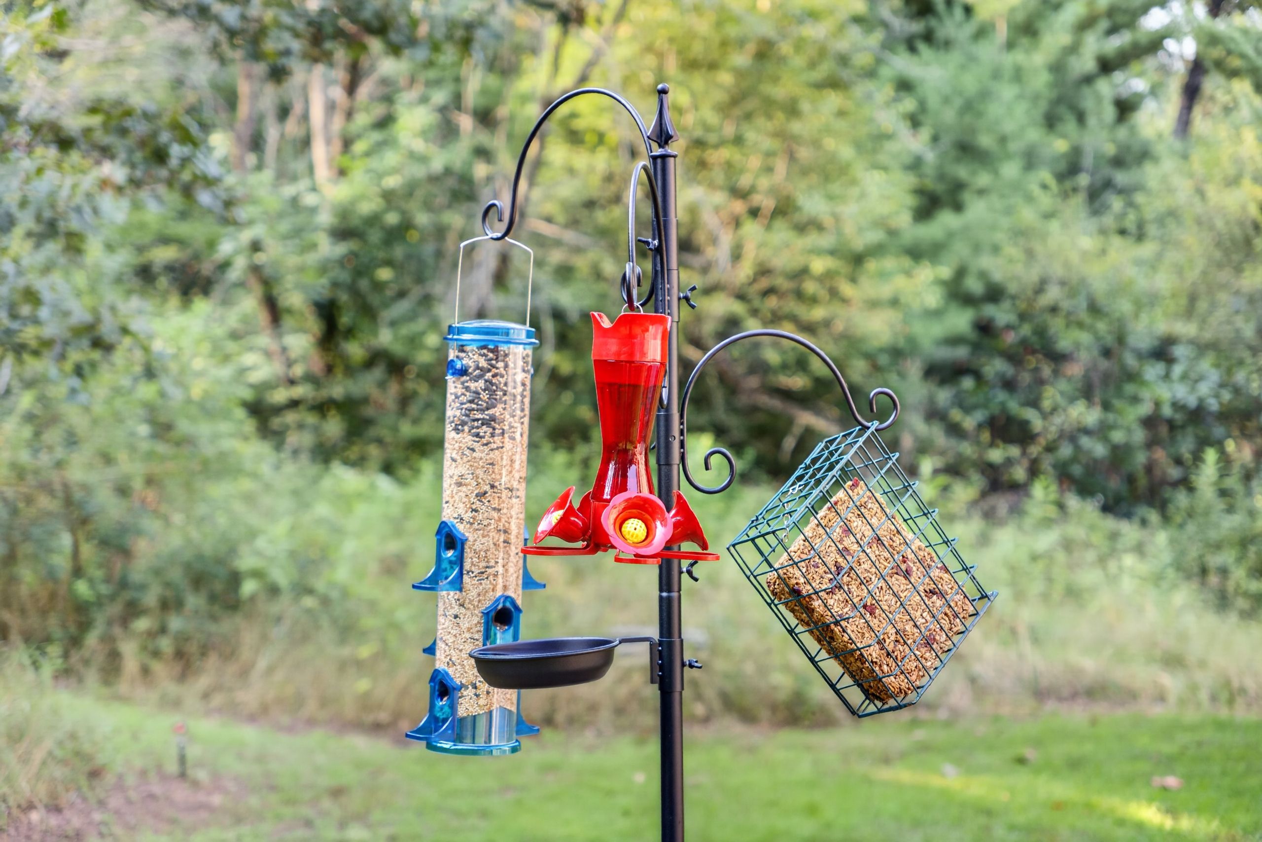 A bird feeder setup with multiple containers and a hanging feeder, set against a natural backdrop.