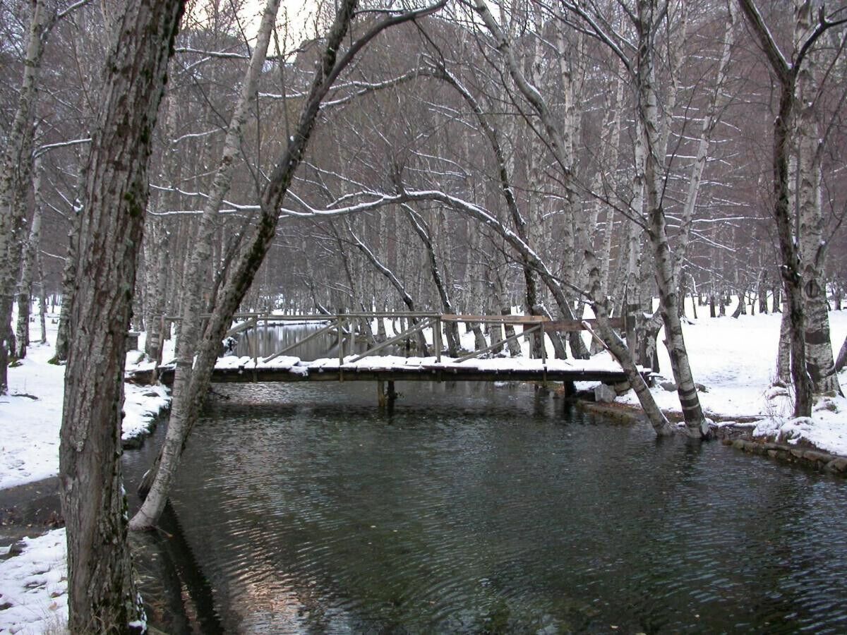 A wooden bridge over a calm river surrounded by leafless trees in a snowy landscape.