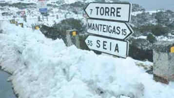 Apartment | 3 bedrooms