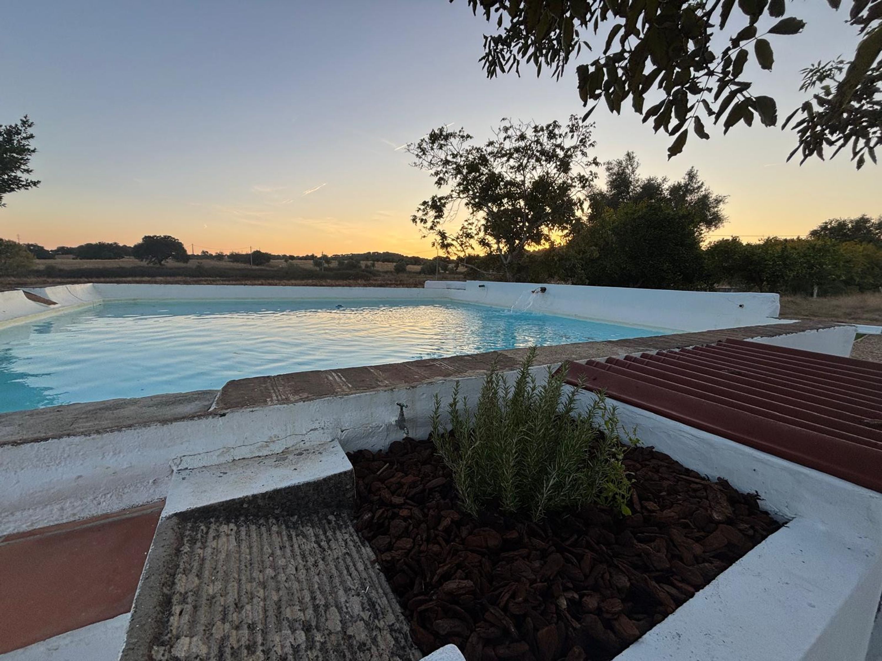 Una piscina con cubierta blanca y un pequeño jardín con plantas.