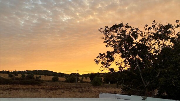 A swimming pool with a view of a sunset and a tree in the background. - Casa Bungavilia - Roots of Alentejo (Alvito)