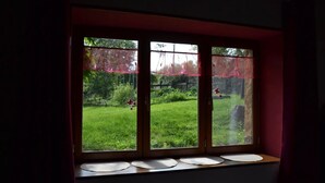 Ein Fenster mit Blick auf eine grüne Rasenfläche und Bäume.