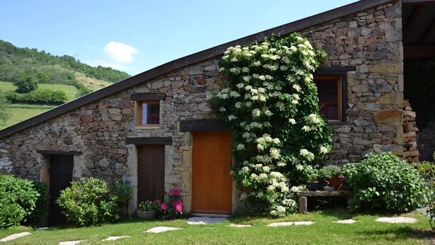 Ein Steinhaus mit einer Holztür, einem kleinen Fenster und einem Garten mit Blumen und einer Kletterpflanze.