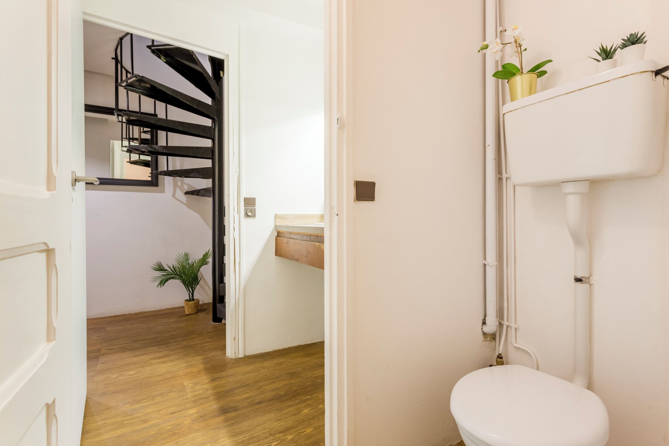 A modern bathroom with a white toilet, a wooden floor, a black spiral staircase, and a small potted plant.