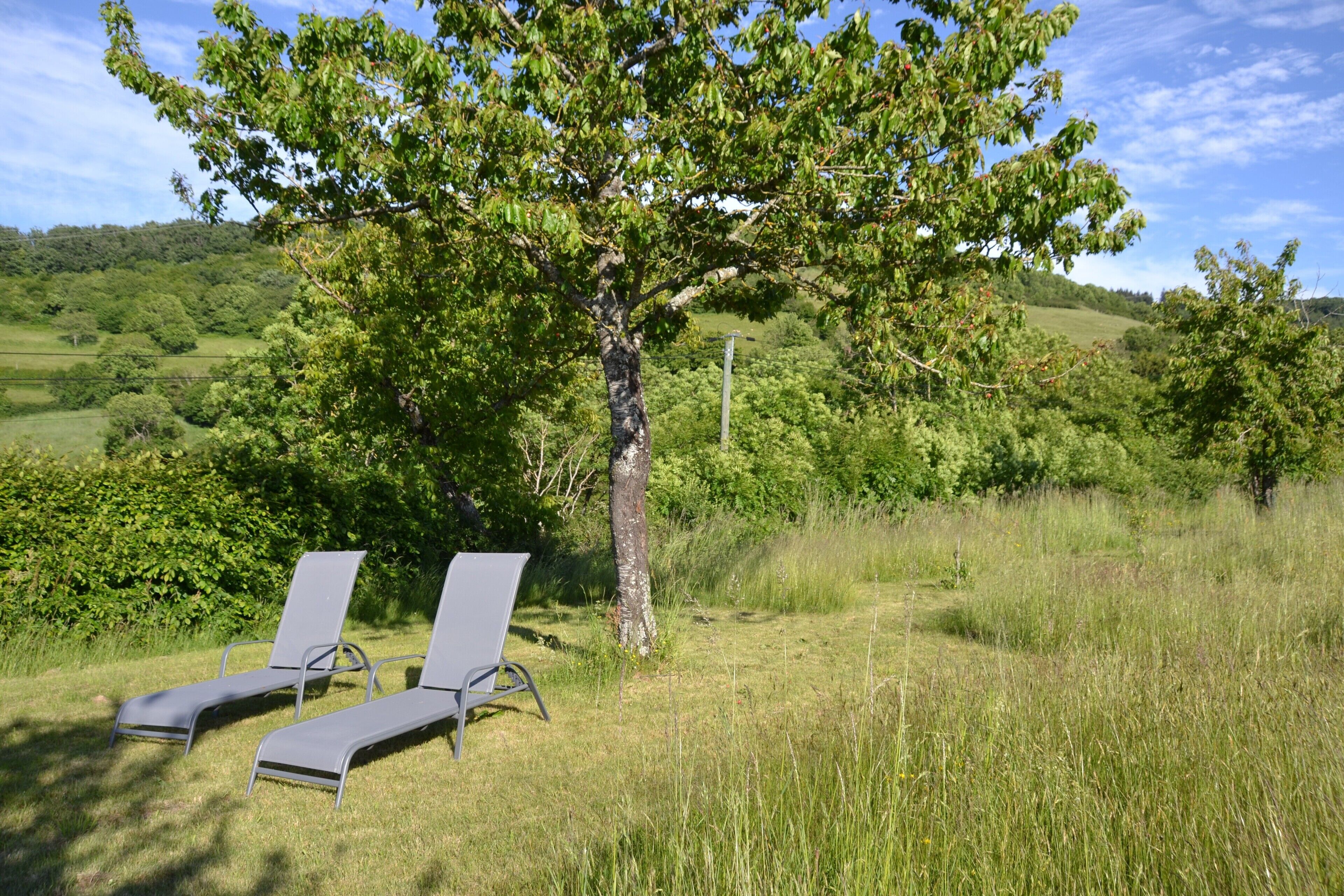 Two lounge chairs in a grassy field with a tree and a hill in the background.