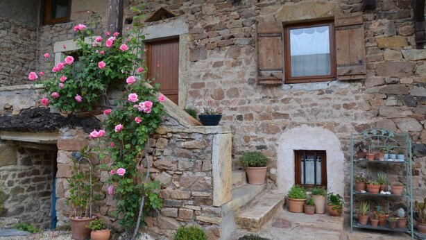 A stone building with a wooden staircase, potted plants, and a metal plant rack.