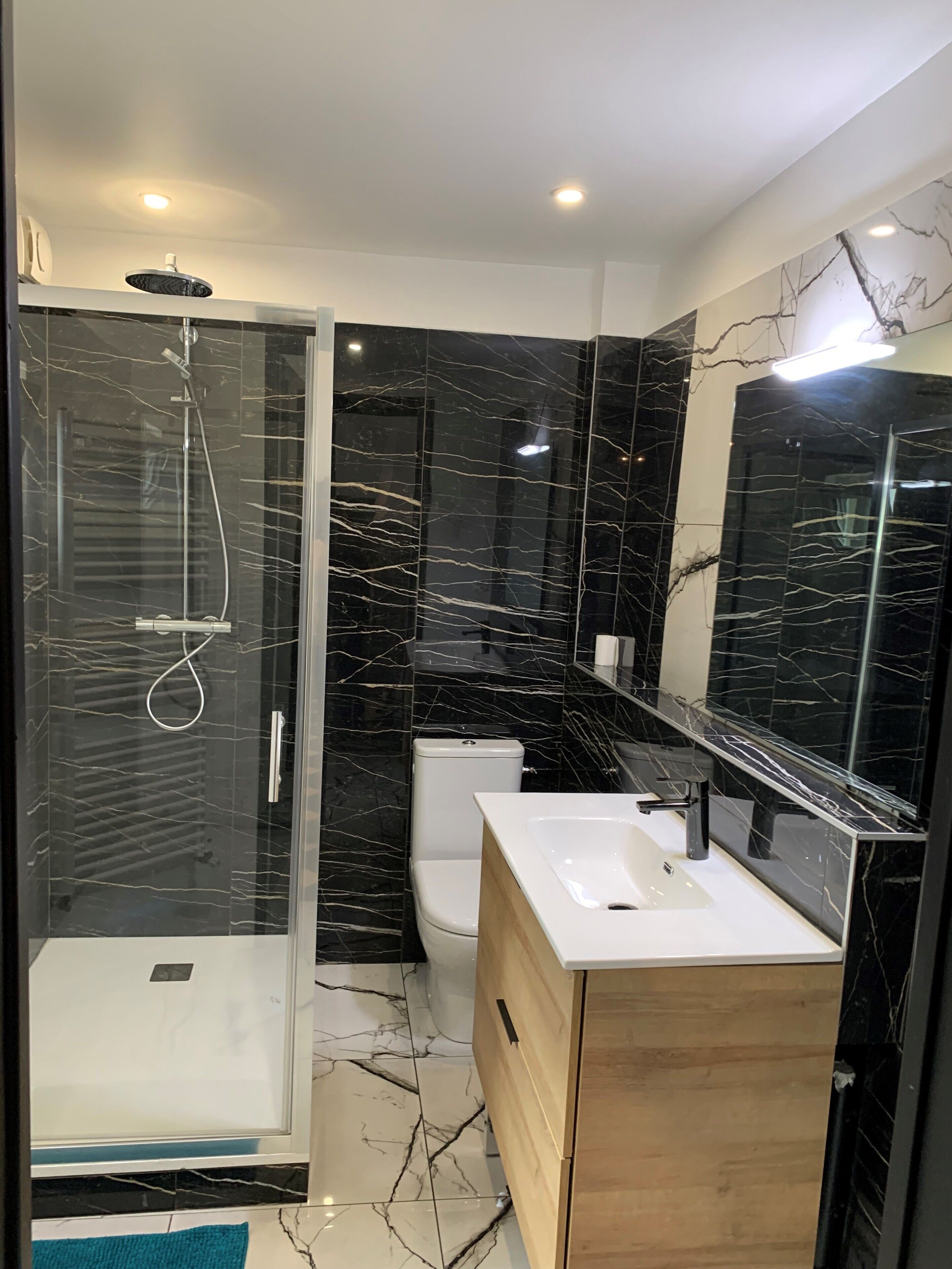 Shower, hair dryer, toilet paper