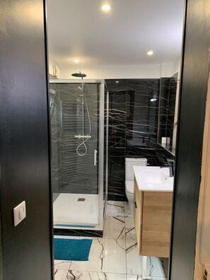 Shower, hair dryer, toilet paper