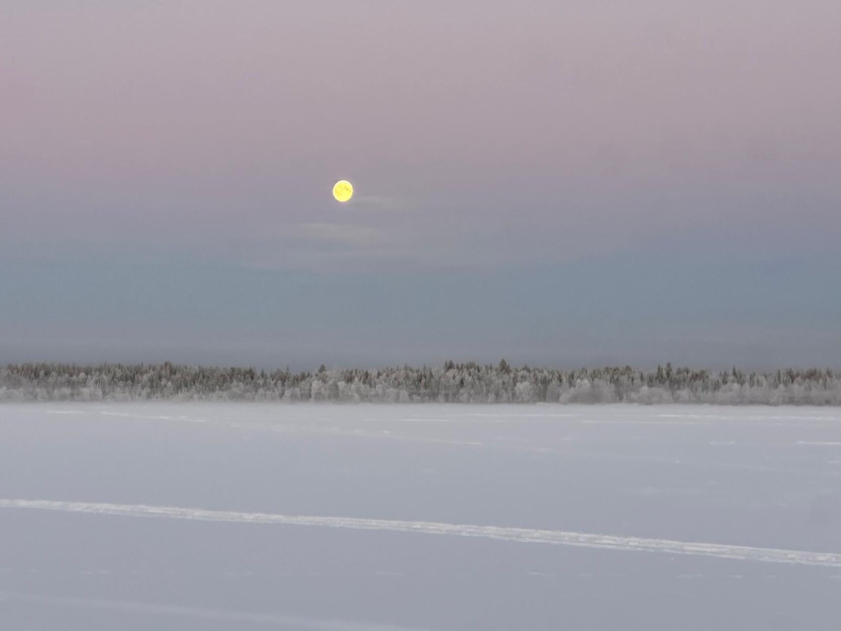 A snowy landscape with a moon in the sky and a line of trees in the distance.