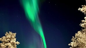 星評価なしの画像、4 / 51、ボタン