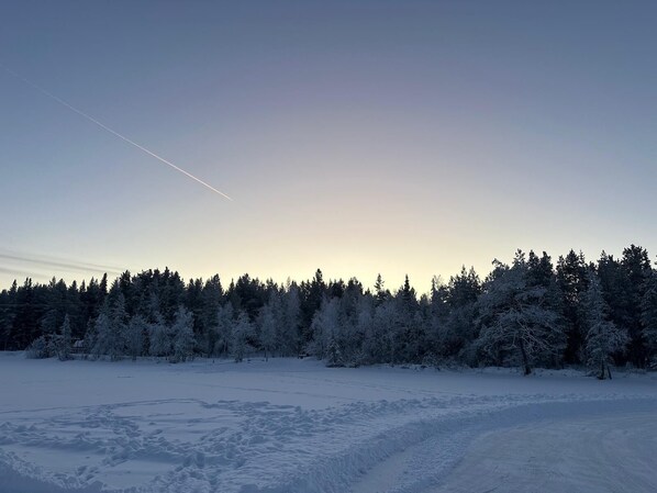 Un paisaje nevado con cielo despejado y un bosque al fondo.