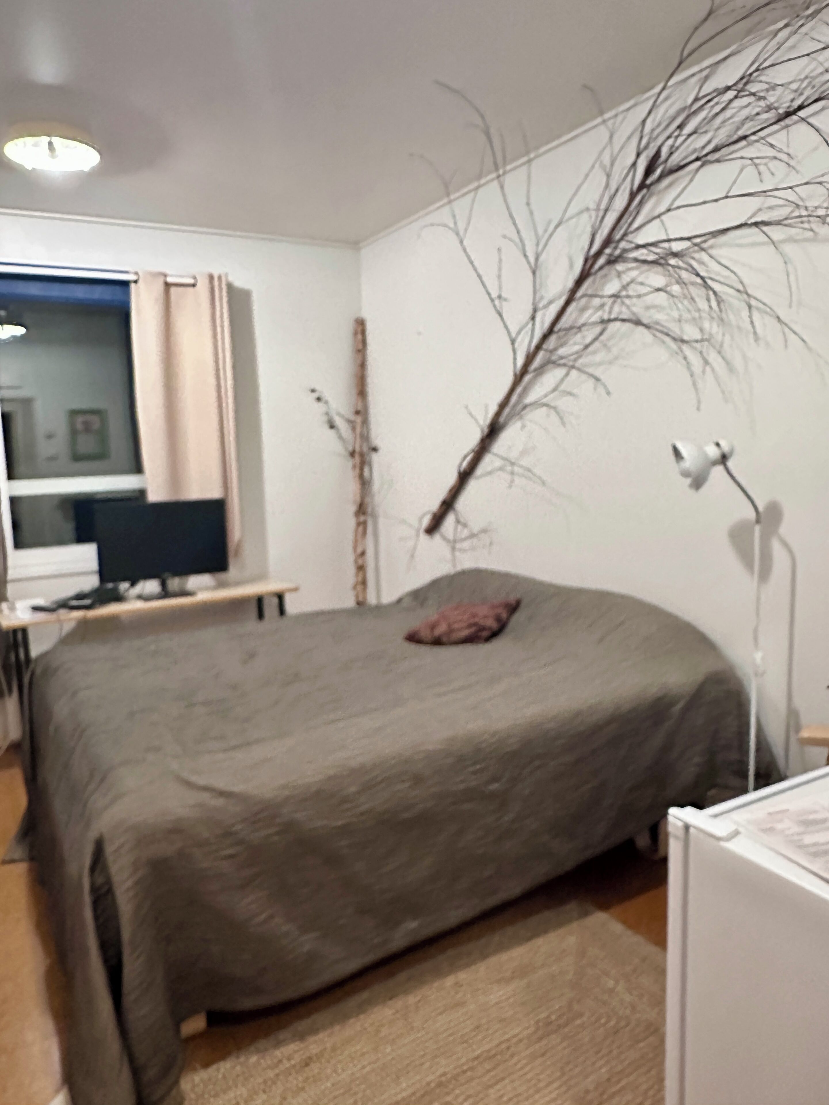 Een slaapkamer met een bed, een bureau met een computer, een lamp en een tak als decoratie aan de muur.