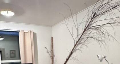 Arctic Shaman Adventures-Jurtta