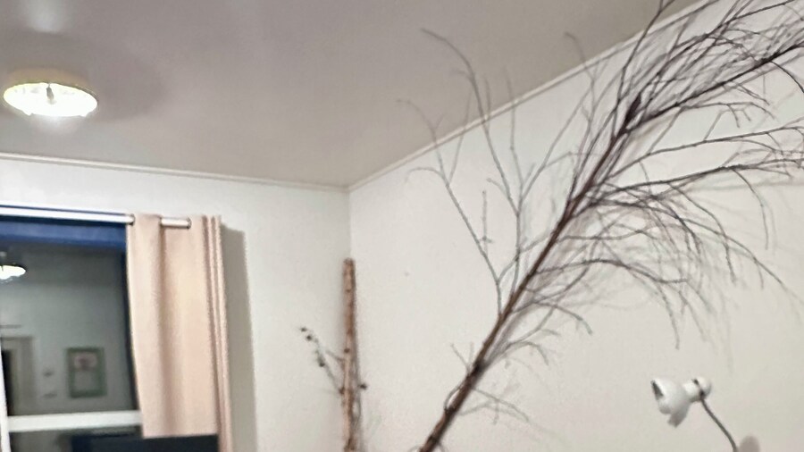 Arctic Shaman Adventures-Jurtta