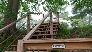 Una escalera de madera que sube hacia una zona privada, rodeada de árboles y follaje.