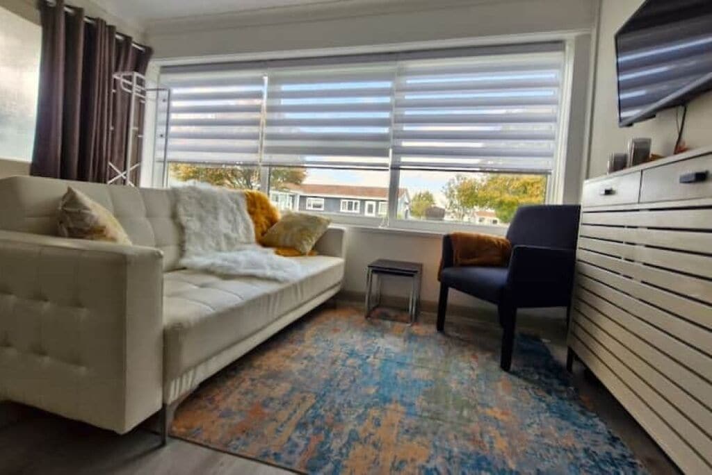 テレビ、ステレオ