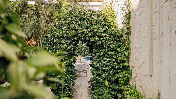 A narrow pathway leading to a covered seating area, surrounded by lush greenery and a white building with a tiled floor. - Captain's Villa (Budva)