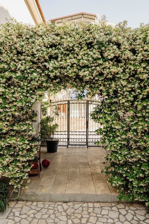 Exterior - Captain's Villa (Budva)