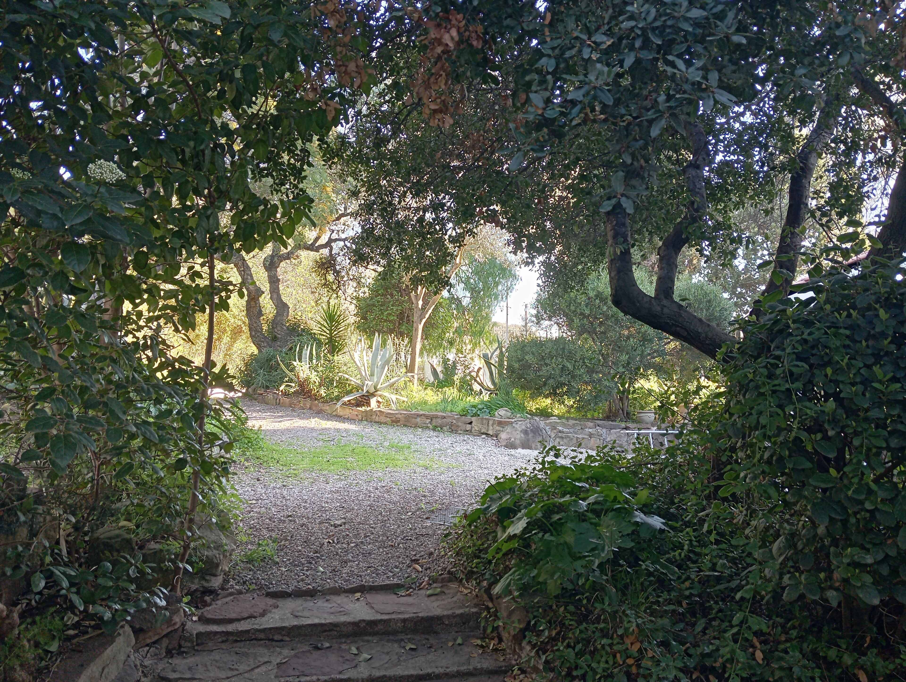 Studio, patio, vue jardin | Vue sur le parc