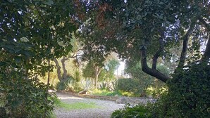 A stone pathway leading through a garden with various plants and trees. - Hôtel Le Thimothée (Saint-Raphaël)