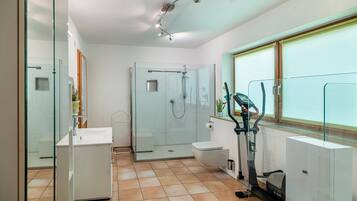 Shower, hair dryer, towels