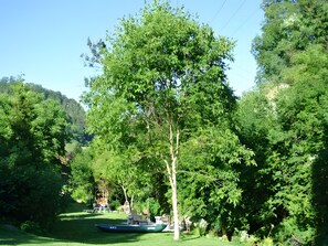 Imagen general