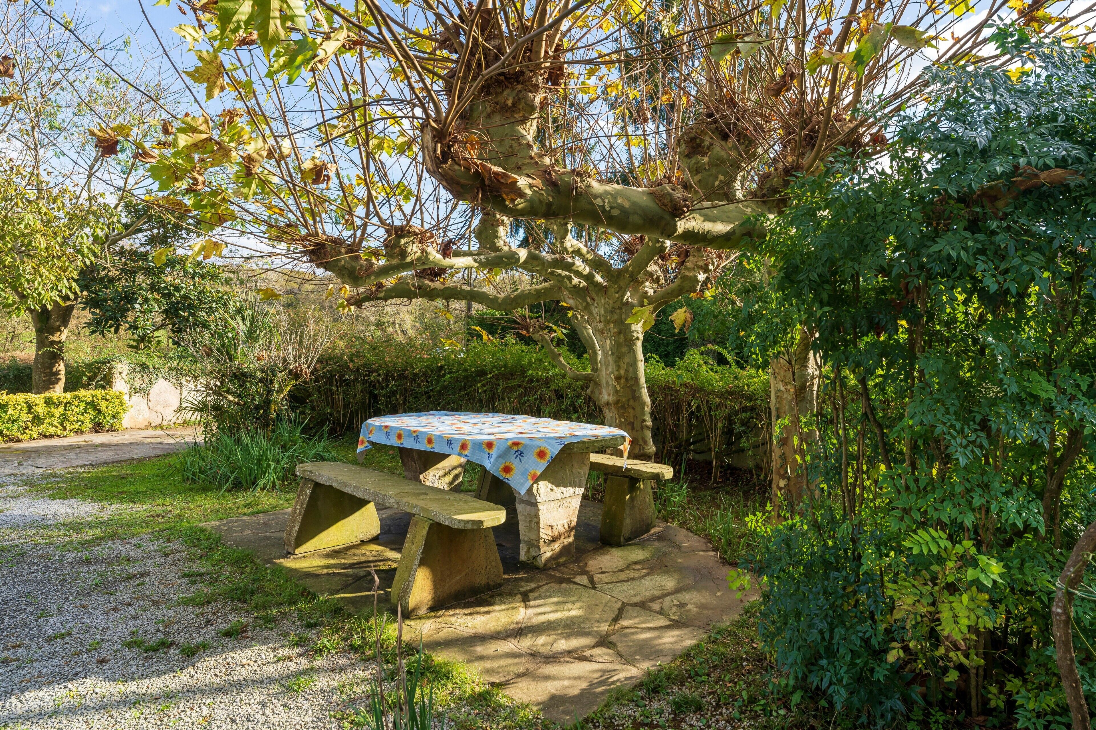 A stone picnic table with a blue tablecloth under a tree.