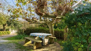 A stone picnic table with a blue tablecloth under a tree.