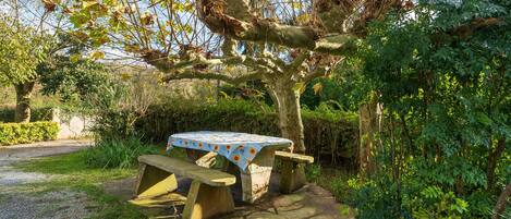 A stone picnic table with a blue tablecloth under a tree.
