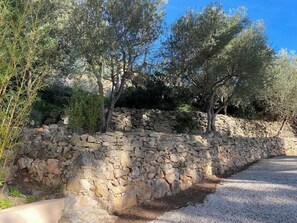 Terrain de l’hébergement 