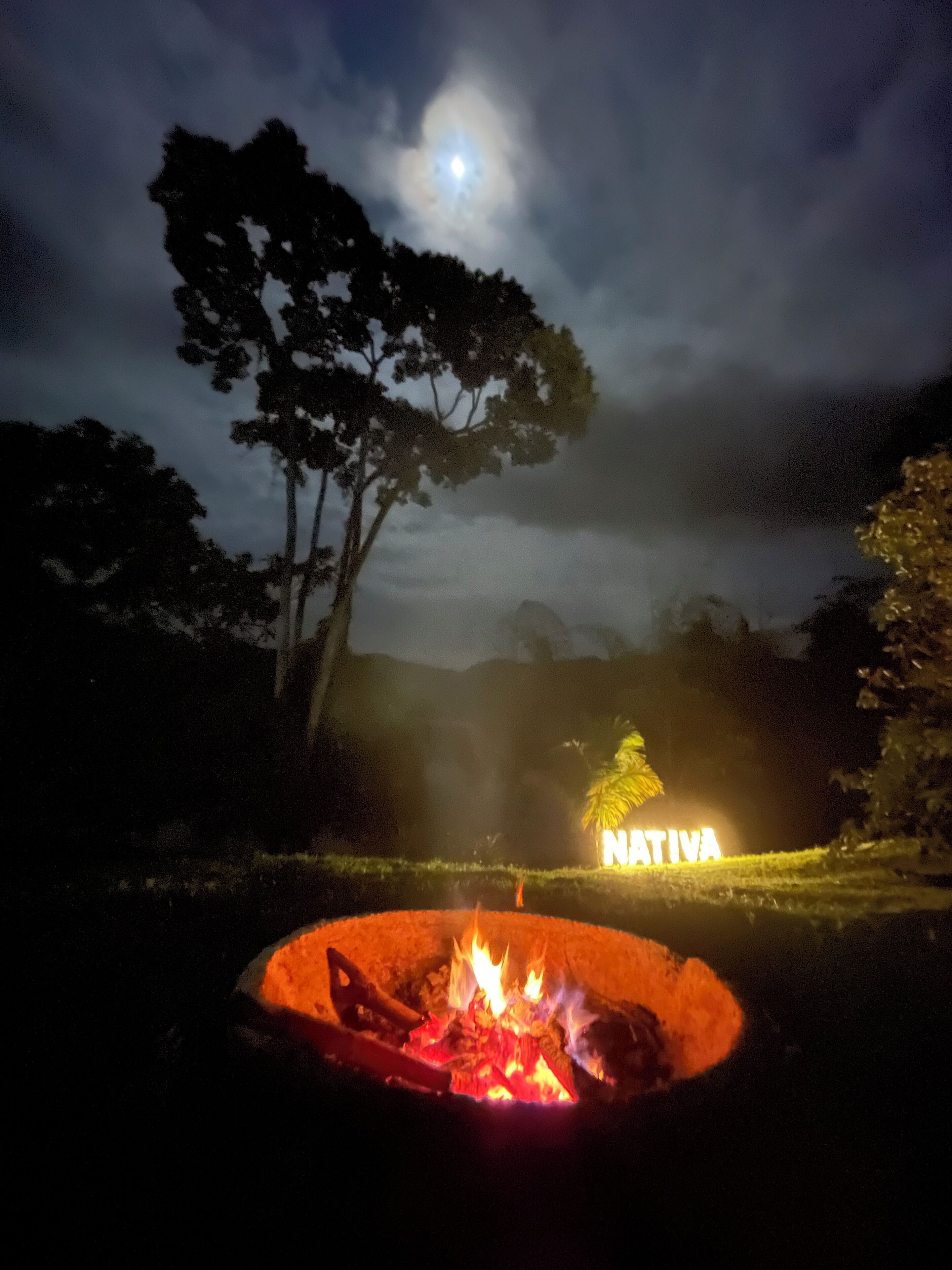 Escena nocturna al aire libre con una fogata, un árbol y un cartel que dice 'NATIVA' al fondo.