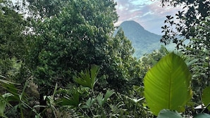 A natural landscape with a waterfall, dense foliage, and a mountain in the background. - Nativa Ecohotel - Laguna de San Diego (Samaná)