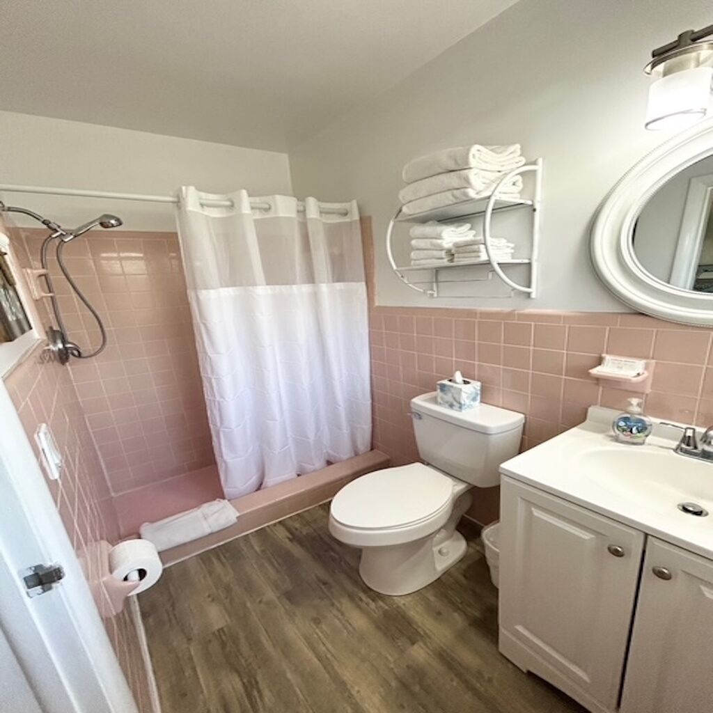 A bathroom with a shower, toilet, sink, and a mirror.